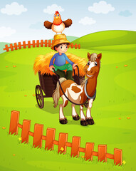 A boy riding horse cart with a chicken on the meadow