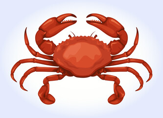 Crab Animal Sea Food Vector Illustration
