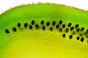 Fresh, ripe kiwi fruit macro shot. Kiwi pulp and seeds. Slice of kiwi close up. Tropical fruit