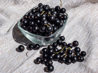 Close-up shot of perfect ripe blackcurrants (ribes nigrum) on the white tablecloth and in the glass bowl in bright sunlight. Healthy snack