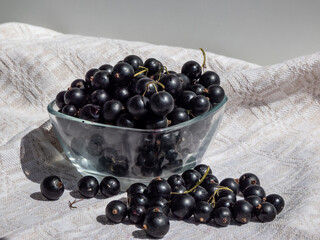 Close-up shot of perfect ripe blackcurrants (ribes nigrum) on the white tablecloth and in the glass bowl in bright sunlight. Healthy snack