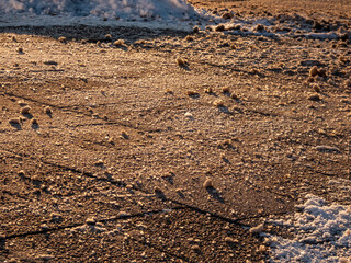 Salt grains on icy sidewalk surface in the winter. Applying salt to keep roads clear and people safe in winter weather from ice or snow. Macro view of salt grains with winter scenery in bacground