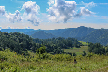 View of the Polish mountains - Gorce