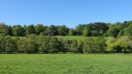 Scenic landscape view with green fields and leafy trees