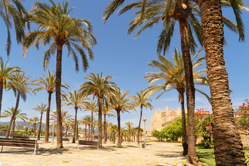 Fototapeta na wymiar Palma de Majorca, Spain