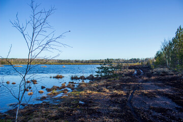 Latvian nature spring in Salaspils bog