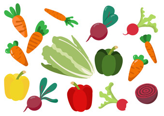 Big set of colorful hand drawn fresh vegetables isolated on white background. Flat cartoon vector illustration.