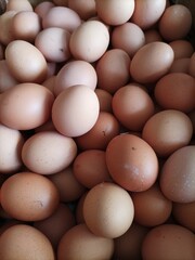 Full fresh eggs of paper tray from Indonesia farm in the package that preserved for sale in wholesale and retail market.