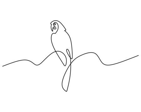 One continuous single line of Scarlet Macaw. Famous bird line art isolated on white background.