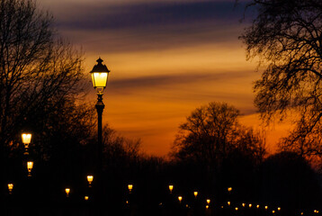 Winter and romance in Lucca. Anciet walls streetlights with sunset sky - obrazy, fototapety, plakaty