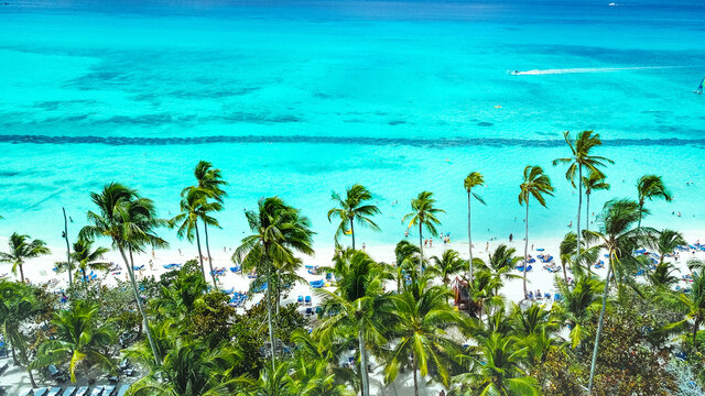 aerial view of a beautiful caribbean beach in La Romana, Dominican Republic