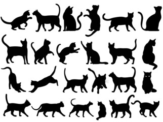 cats, set, black silhouette, isolated, vector