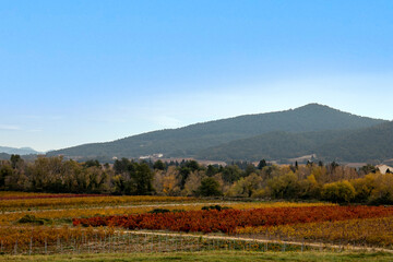 Fototapeta na wymiar vineyard landscape, rural landscape 