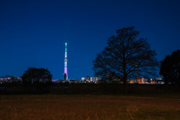 Fototapeta premium 東京スカイツリー 特別ライティング（鬼滅の刃、竈門禰豆子カラー 2021年12月）と荒川河川敷