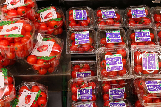 Fresh mini tomatoes in plastic containers in a Japanese supermarket. (1/2022)