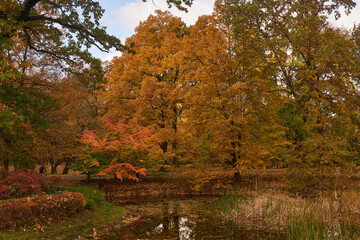 autumn in Park Szczytnicki in Wrocław in Poland