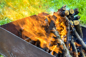 Bonfire made of branches of fruit trees. Flame flutters in wind. Process of preparing coals for barbecue on green lawn. Green grass shines through the flames. Close-up. Selective focus.