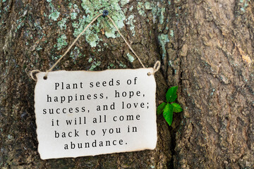 Inspirational and motivational quote on nature background