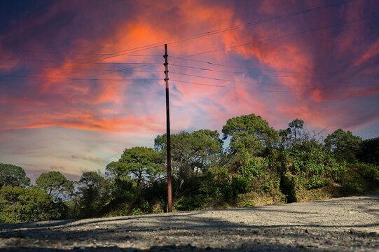 road sky with tree , in village .