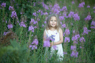 Little girl in a field of flowers. High quality photo