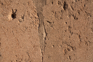 background in the form of brown stone old wall