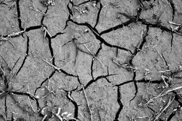 Dried cracked earth, soil ground texture for abstract background