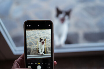 Fototapete bei efototapeten.de bestellen   