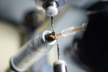 Step 11. tool for artificial insemination of queen bees. Inserting sperm into the insect's vagina for breeding work. Breeding purebred honey bees
