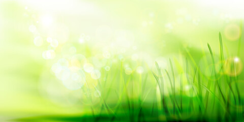 Fototapeta na wymiar Green meadow in strong sunlight. Fresh grass. Nature background. Spring landscape. Abstract vector illustration.