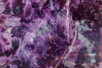 macro mineral stone Charoite on a white background