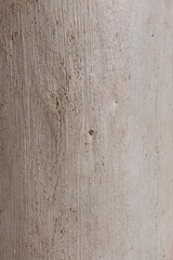 Real nature texture great for background