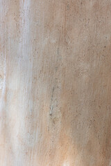 Real nature texture great for background