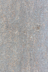 Real nature texture great for background