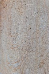 Real nature texture great for background