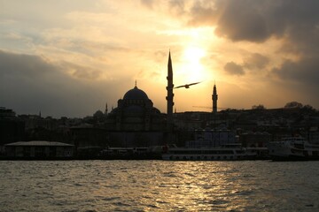 mosque in Istanbul in the sunset 