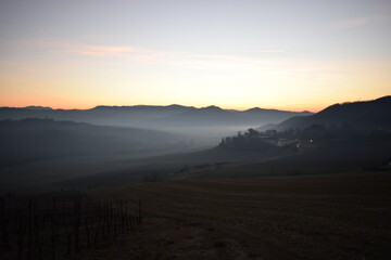 Nebbia in collina in oltrepò pavese