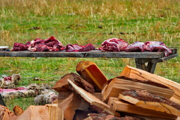 Russia. Western Siberia, the Altai Mountains. A large pile of firewood near cast-iron boilers, in which the traditional Kocho soup from fresh sheep meat is prepared for the spring festival.
