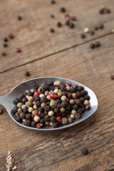 Various colored pepercorns on a dark background