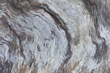 Real rough textures from nature great for background