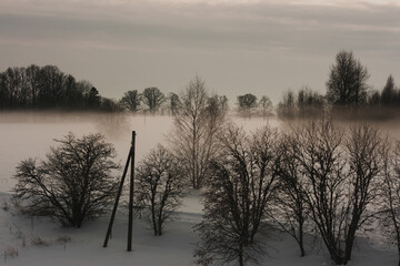 Misty winter landscape with tree silhouettes and wooden electricity poles.