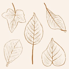 hand drawn leaf and flower line art, hand drawn nature painting. Free hand sketch illustration.