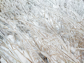 Winter snow and ice glaze on grass pattern