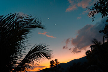 Palm leaves against a sunset sky with a moon and stars