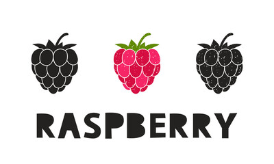 Raspberry, silhouette icons set with lettering. Imitation of stamp, print with scuffs. Simple black shape and color vector illustration. Hand drawn isolated elements on white background - 478502173
