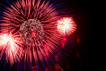 Obraz premium Flash of red and white fireworks on background black sky. Concept of holiday. Close-up