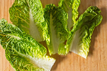 green salad lettuce leafs ready for meal cooking
