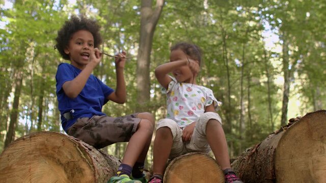 Portrait of playing curly emotionally close children on the logs in a city park. The quality of sibling relationships is one of the most important predictors of mental health in old age. 