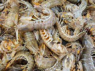 In a farmer's market, a variety of seafood are stacked and sold, including crabs, conch, sea shrimp, skin shrimp, clams, river crabs, mirror fish and so on.