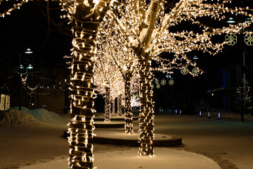 Fototapeta na wymiar trees decorated with Christmas tree decorations at night
