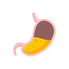 Half stomach icon flat isolated vector